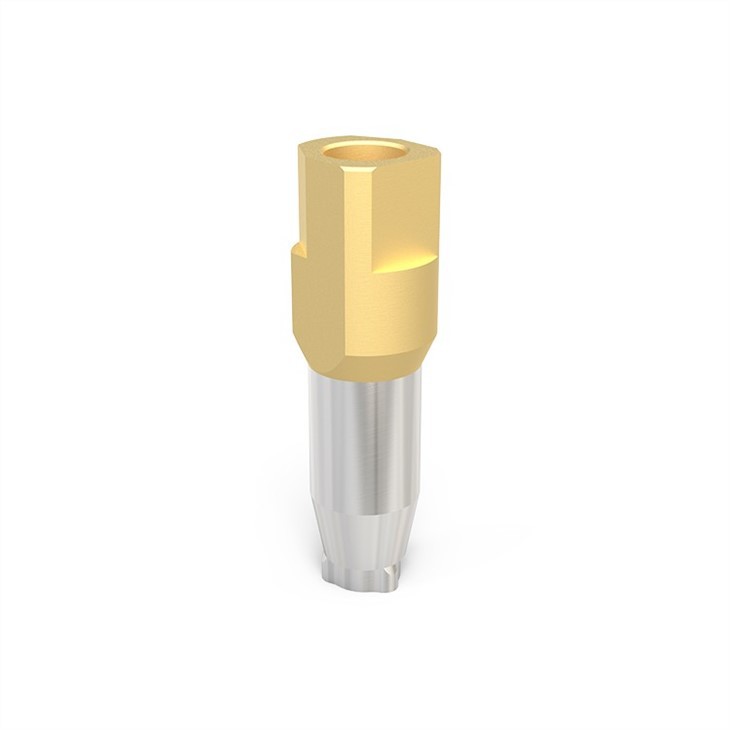 scan bodies for implant factory